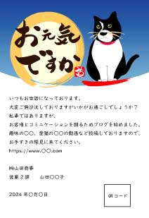 DMハガキ デザイン